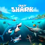 crazy-shark
