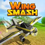 Play Wing Smash